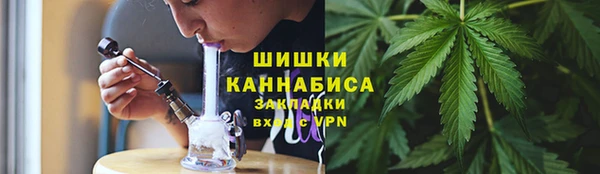 Альфа ПВП Инсар