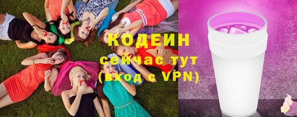 первитин Инта