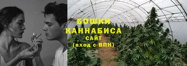 Альфа ПВП Инсар