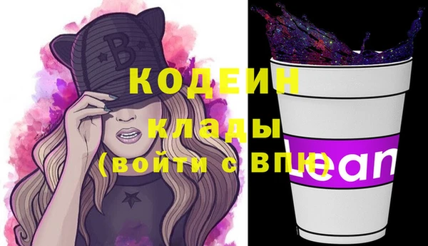 первитин Инта