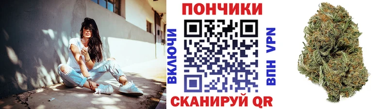 Купить закладки  Малгобек  Конопля MAZAR 